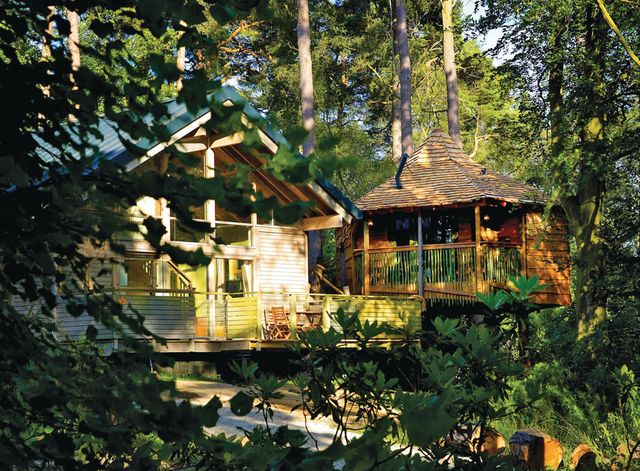 Blackwood-Forest-Lodges