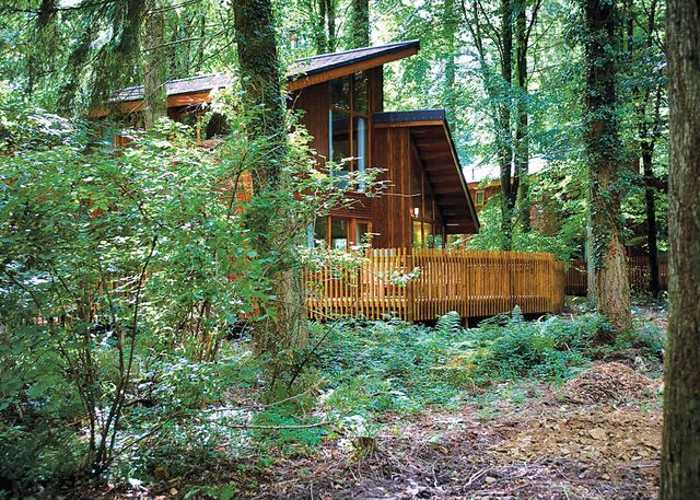 Sherwood-Forest-Lodges